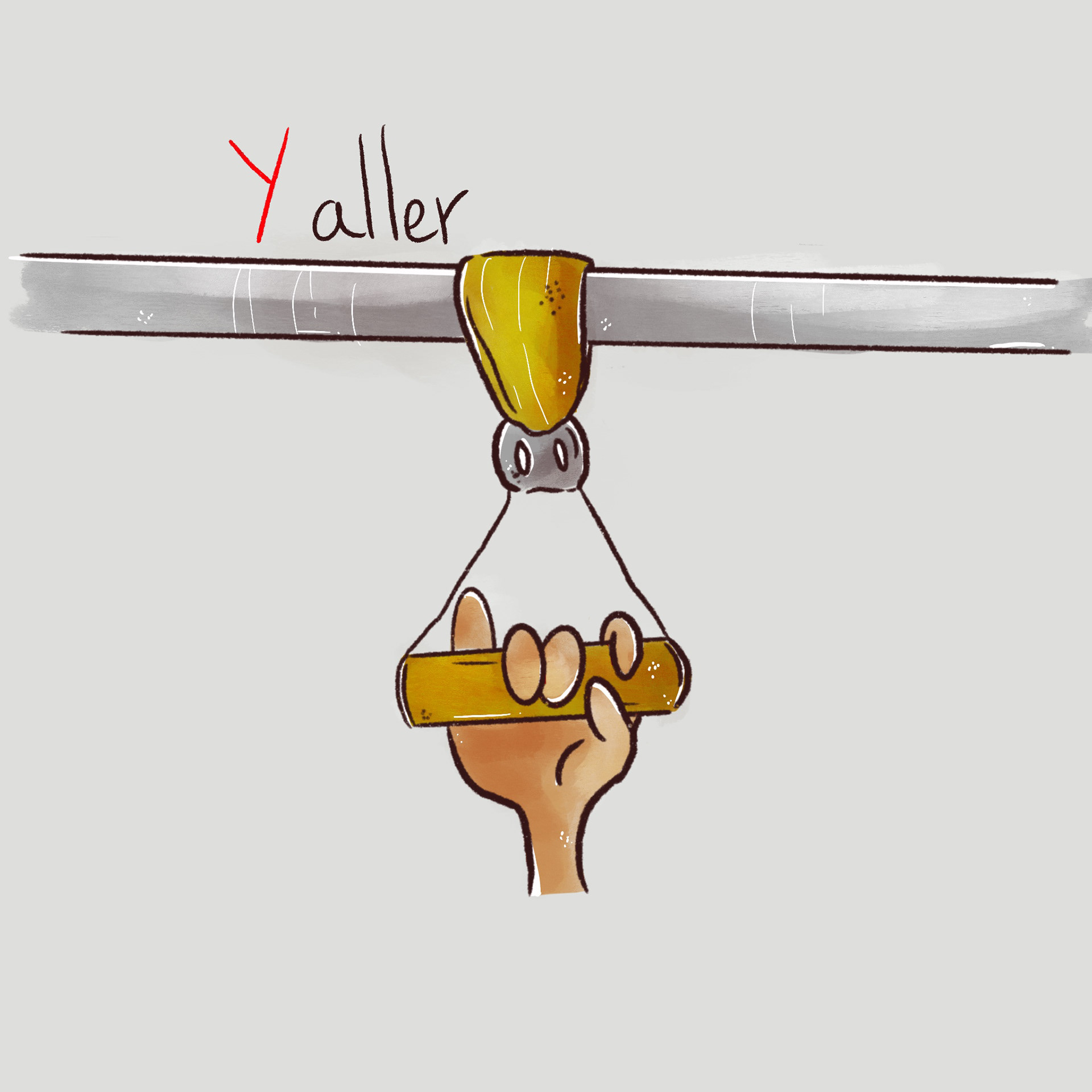 Y