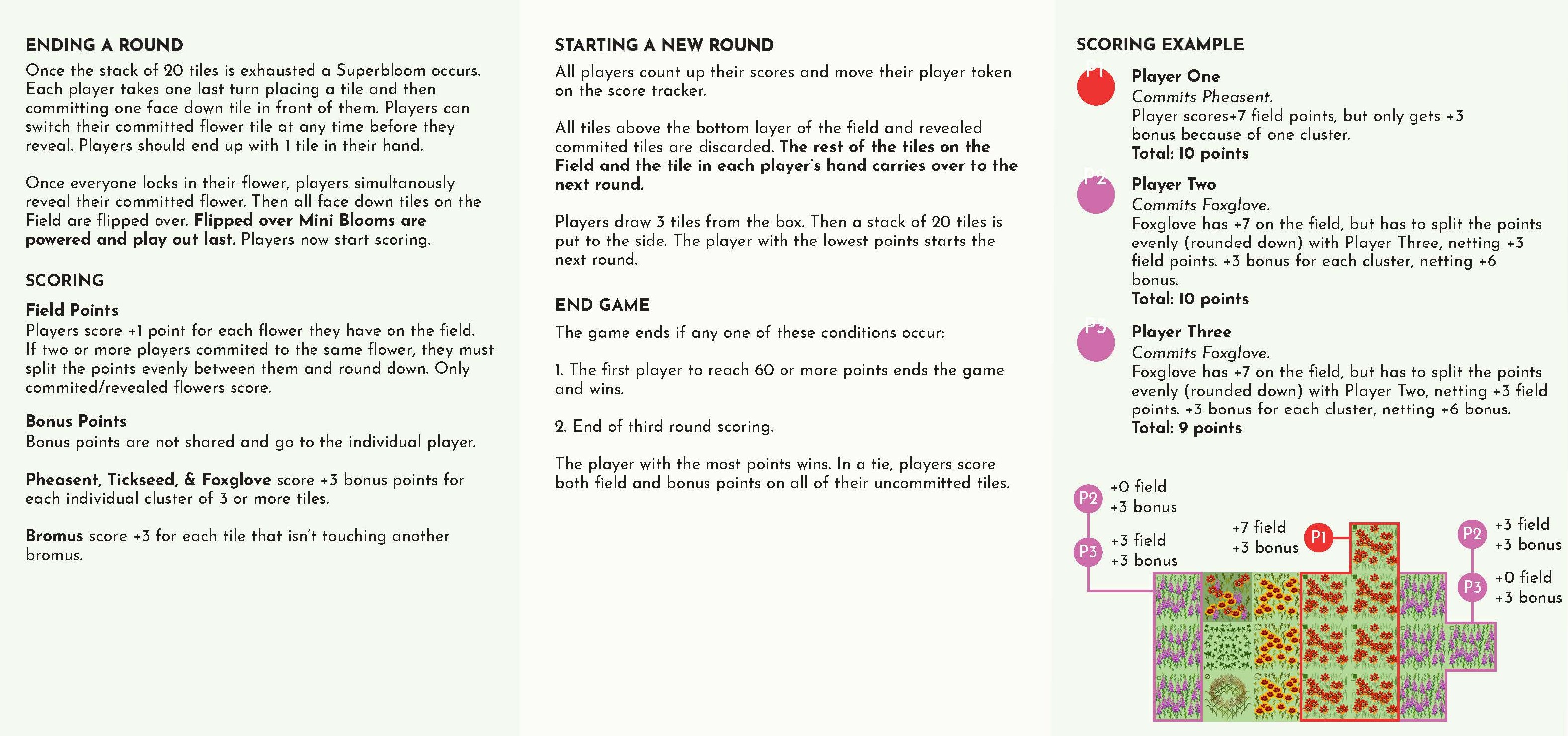 Rules sheet, page two